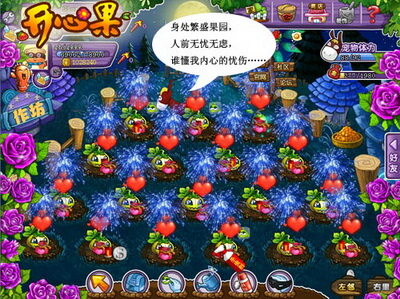 开心果最新图片