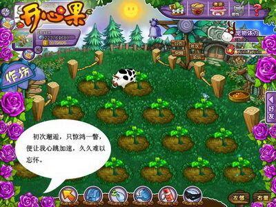 开心果最新图片