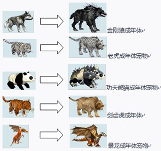 黑暗契约最新图片