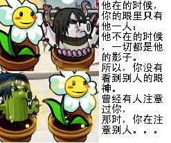 植物大战僵尸最新图片