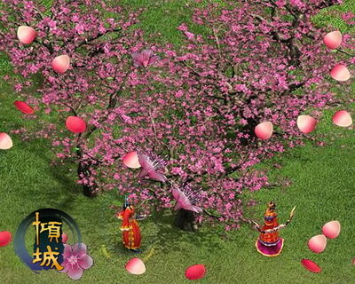 倾城最新图片