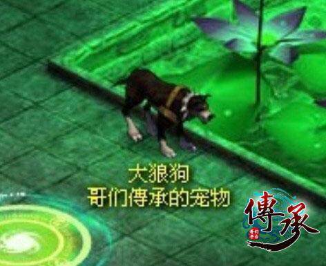 传承最新图片
