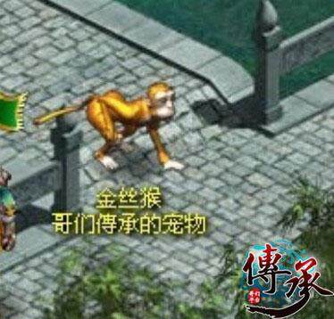 传承最新图片