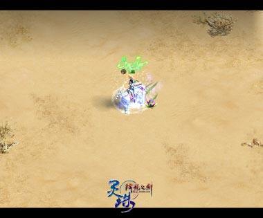 图片: 图1-彼岸花.jpg