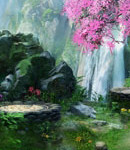 武林3：武林大会“歪”传