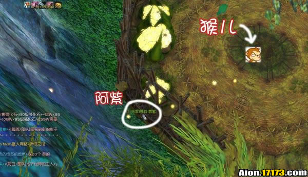 点击放大