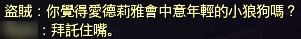 趣味截图：腹黑无节操的盗贼追随者神吐槽