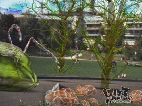 {{keywords}}最新图片