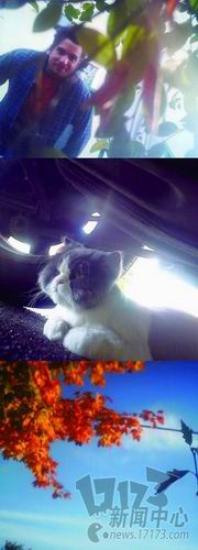 {{keywords}}最新图片