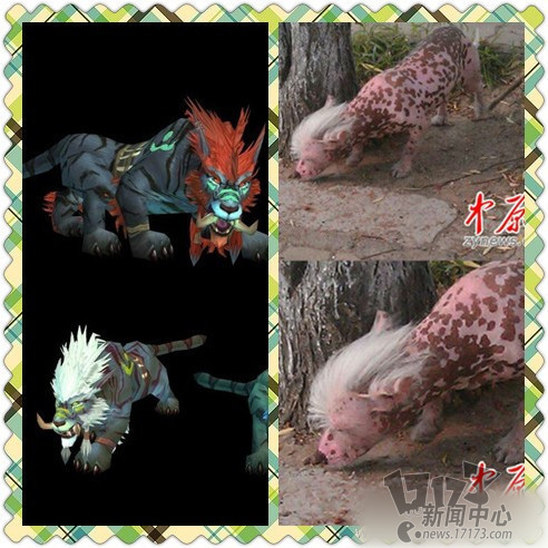 {{keywords}}最新图片