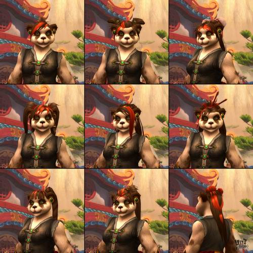 魔兽女熊猫人新增更多发型饰物选择