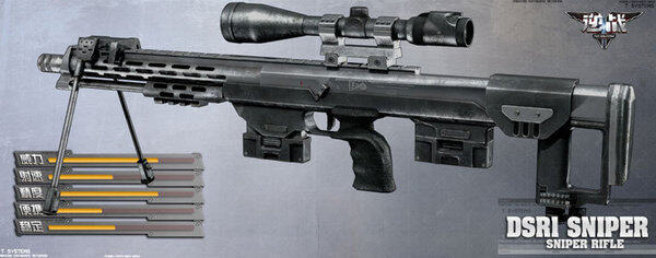 DSR-1