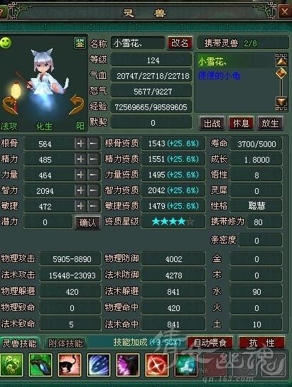 高资质小极品引魂猫