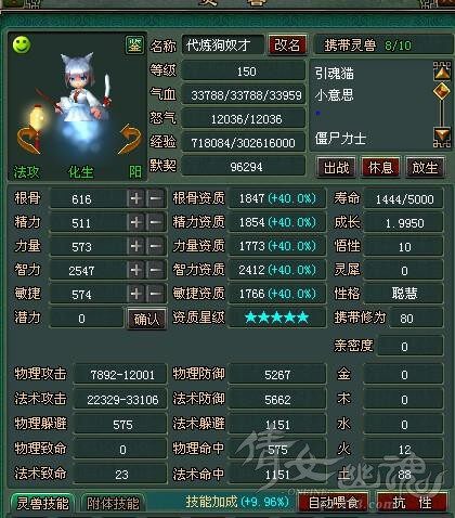 第一神猫