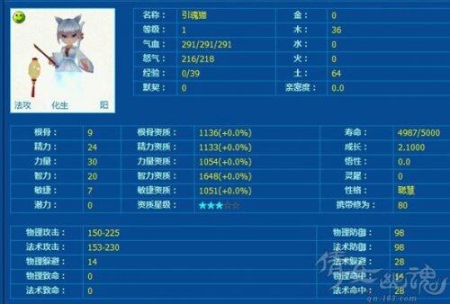 超极品三围神级引魂猫