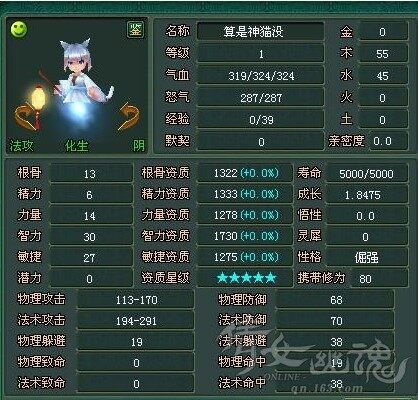 五星资质超级引魂猫