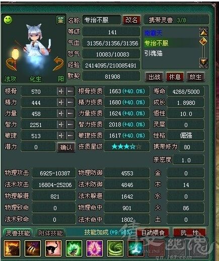三星半小极品引魂猫
