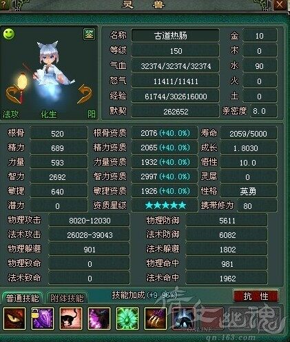 3000智力超级神兽引魂猫