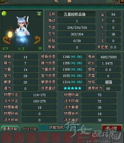 五星资质极品引魂猫