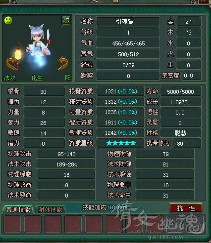 1900+五星超级引魂猫