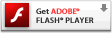 获取新版Flash