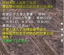 两万伤害的夜郎 80级强力羽毛全面展示