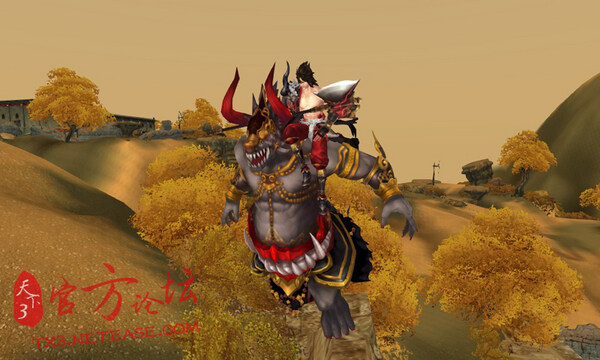 n06.jpg
