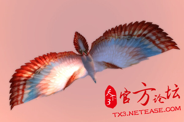 点击放大