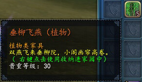 垂柳.jpg