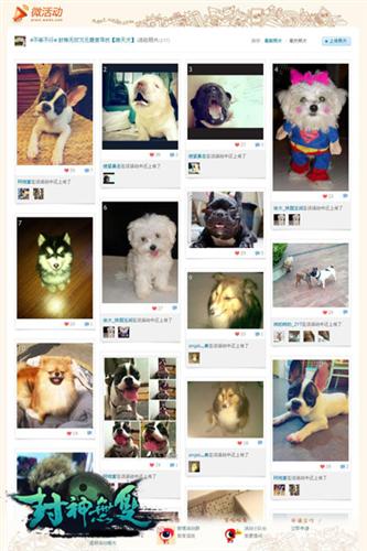 {{keywords}}最新图片