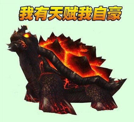 4.3猎人宝宝乌龟坦克巨龙之魂H老一分身攻略