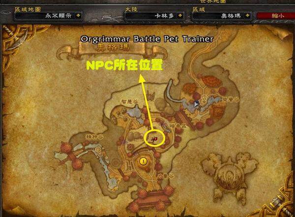 点击放大