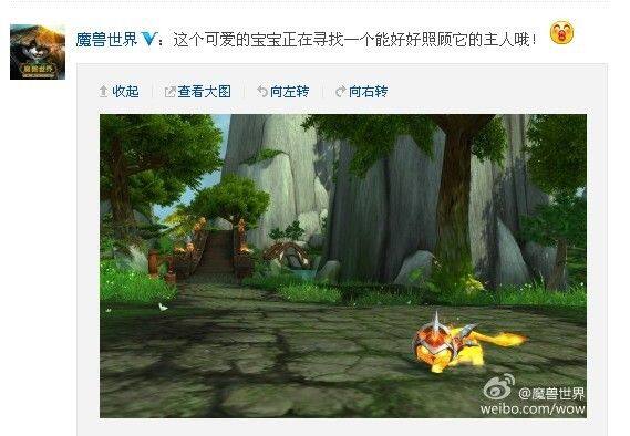 魔兽官方微博暗示将有新宠物 或将加入暴雪商城