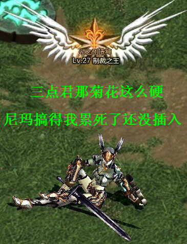 菊花.jpg