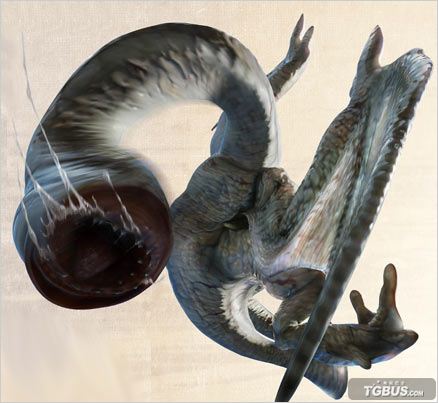 电龙电龙肉质图电龙耐久值图 肉质表(◎特别有效,○有效,△效果较差