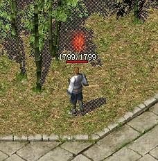 <!--infokeyword-->最新图片