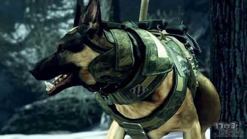 <!--infokeyword-->最新图片