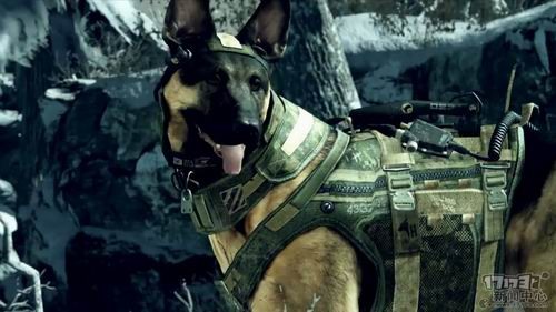 <!--infokeyword-->最新图片