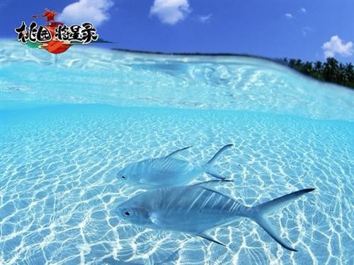 <!--infokeyword-->最新图片