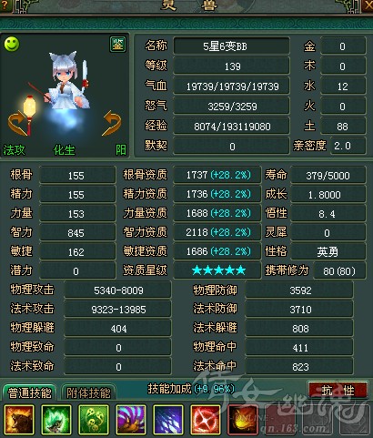 1.8成长满星英勇白猫