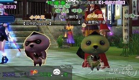 居家旅行泡妞必备：天然萌系灵兽小松鼠