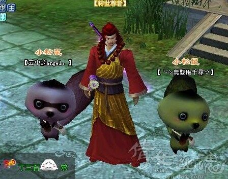 居家旅行泡妞必备：天然萌系灵兽小松鼠