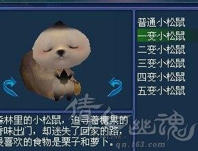 居家旅行泡妞必备：天然萌系灵兽小松鼠