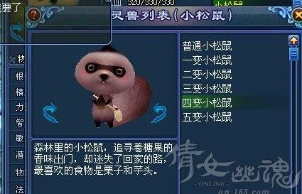 居家旅行泡妞必备：天然萌系灵兽小松鼠