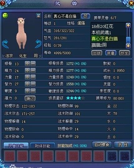 六变四星极品新灵兽羊驼