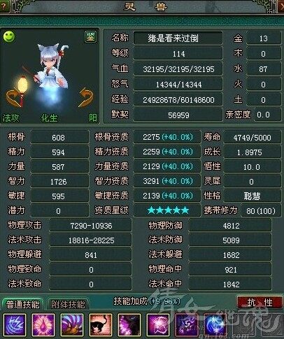 3291智力六变引魂猫