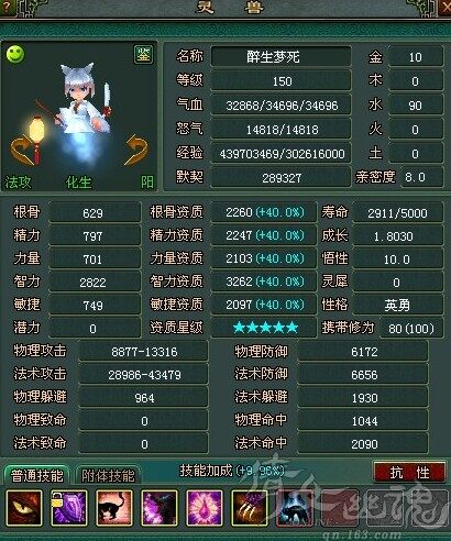 3262智力引魂猫（受到状态影响法攻4.3W）