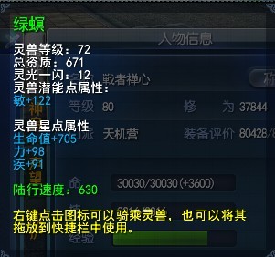 护国敏马.jpg
