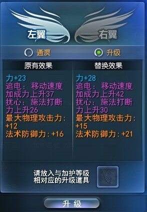 05.jpg