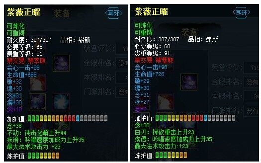 耳环.jpg